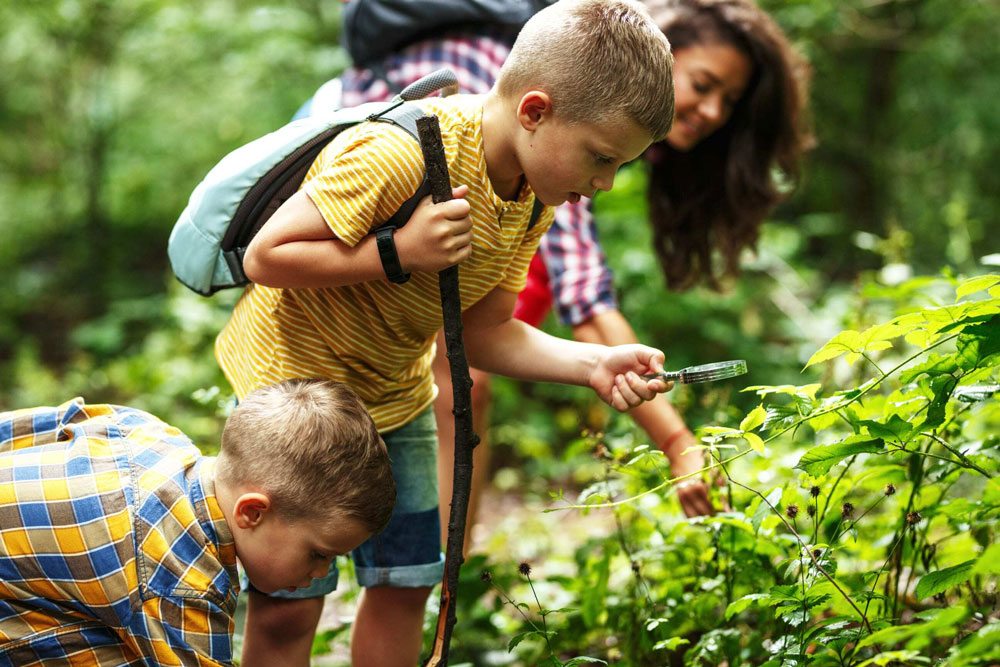 two young boys look at plants on trail with mother in background